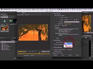 Video Fundamentals: Introduction