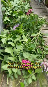 74K views · 1K reactions | #farmer #agriculture #gardeningtips #vagetable | Garden Tips | Facebook