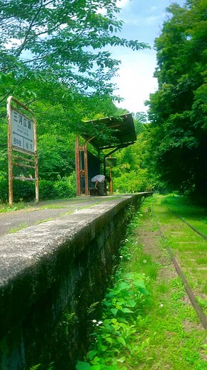 夏目友人帳 自然と癒し: ひとやすみする方法
