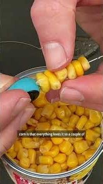 Corn rig option
