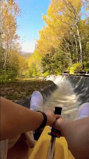 Minnesota Lutsen Mountain Alpine Slide (2025.10.04)