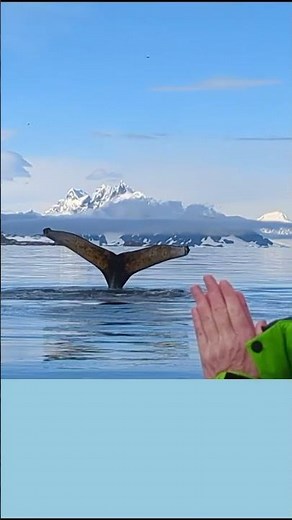 Antarctica Season 2025/26