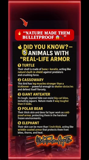 5.3K views · 27 reactions | Nature is CRAZY. These animals walk...