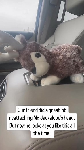 Mr. Jackalope came with a loose thread that ended in his head falling off. Our friend did awesome reattaching it but now he’s got some serious attitude. He’s really judgey. #stuffies #stuffedanimals #jackalope #funnyvideos #attitude #whatchasay #KidsToys #plushies #momlife #parenting #sassy #judgey #whaaa | Burwin Farm