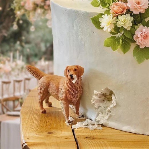 Personalized Polymer Clay Pet Cake Topper: Dog Wedding, Birthday - Etsy