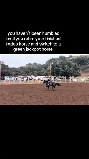 Learning to Ride a Green Jackpot Horse