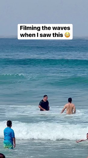 25M views · 10K reactions | Amazing #ocean #beach #waves #sealife #vacation | Liz & Jeff | Facebook