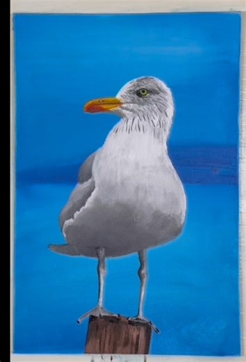 Seagull by the Seaside - Acrylic Paint