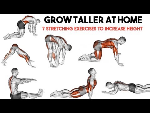 Grow Taller At Home | 7 Stretching Exercises To Increase Height