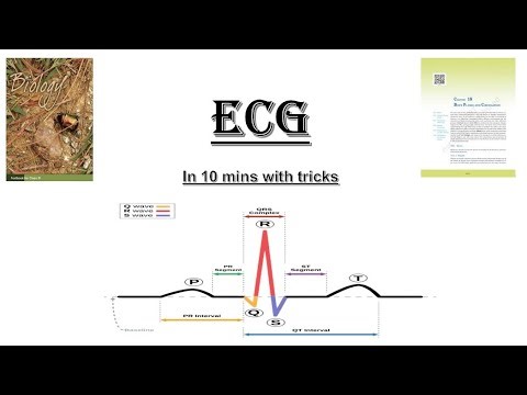 ECG |impulse generation and conduction in heart| LUB - DUB sound| in 10 mins
