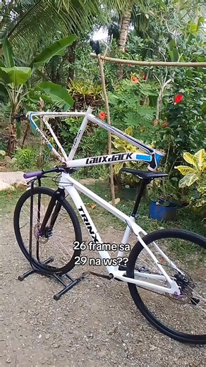 Trinx MTB Crit Setup: 26er vs 29er Frames Comparison