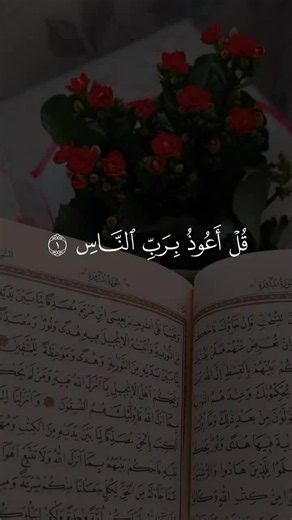 suranas #القران #تلاوت #تلاوة_خاشعه #quran_karim | quran