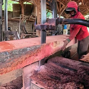 amazing video of sawmill red lumber | Sawmill & Woodworking