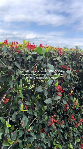 Videos de Dany Balderas (@alistar.db) con “Hoy - 008RACCA”