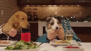 2.4K views · 16 reactions | Epic one here. Well Done freshpetfeast | Outdoor Gear | Facebook