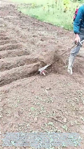 The Furrow Maker – Precision Soil Sculpting for Planting