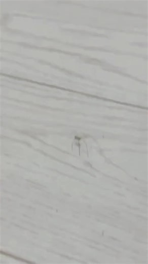 #videosgraciosos 🤪😝 #videosdivertidosdetiktok 👻🤣 #videosviralestiktok #videosdetiktok #historiasdetiktok