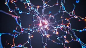 シナプス接続と発光するニューロンの動画｜無料の動画素材サイト「動画AC」