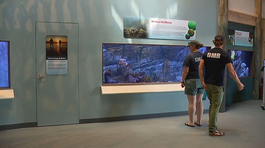 Maine State Aquarium set to reopen with new exhibits and touch tanks