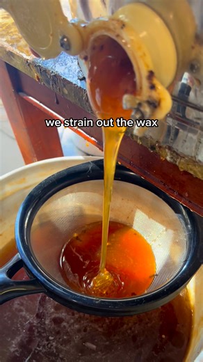10K views · 6.5K reactions | Stop eating FAKE honey❌ This is how REAL honey is made Link in bio for 10% Off your first Jar! | Arizona Local Raw Honey | Facebook