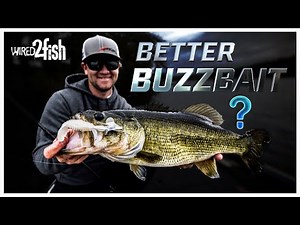 Wes Logan’s Guide to Fall Buzzbait Fishing Success