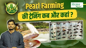 ICAR- Central Institute Of Freshwater Aquaculture, भुवनेश्वर की ओर से मीठे पानी में मोती पालन के राष्ट्रीय प्रशिक्षण कार्यक्रम का आयोजन किया जा रहा है। इसके पहले बैच का आयोजन 9 सितंबर से 13 सितम्बर 2024 तक तो वहीं दूसरे बैच का आयोजन 18 नवम्बर से 22 नवम्बर 2024 तक किया जा रहा है। Central Institute of Freshwater Aquaculture Ministry of Fisheries, Animal Husbandry and Dairying Ministry of Agriculture & Farmer’s Welfare, Government of India #pearlfarming #pearl #pearls #aquaculture #cifa #PearlFarmi