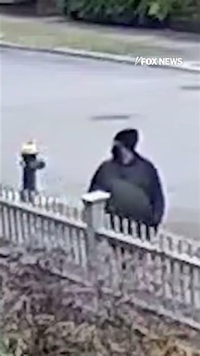 $50K REWARD: Do you recognize him? #shorts #crime #news #us