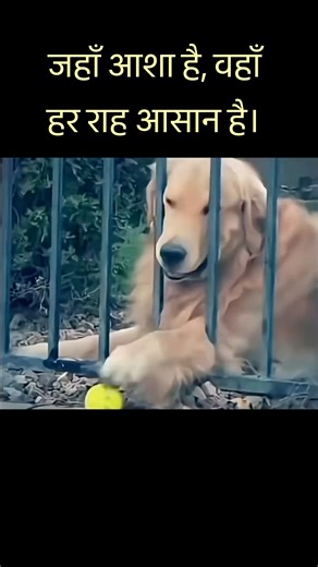 With Hope , anything is possible. #hope #believe #deepthought #motivation #inspiration #truedialogue