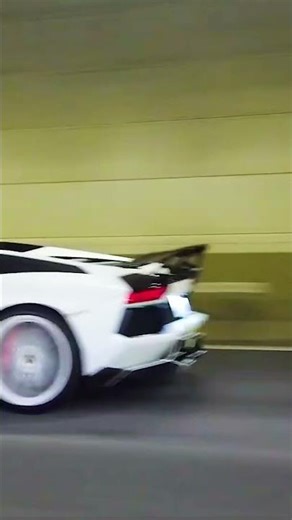 Lamborghini Sound: Feel the Adrenaline of a V12 Engine!