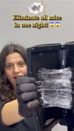 𝗠𝗮𝗿𝗶𝗮𝗺 • 𝗨𝗚𝗖 𝗖𝗿𝗲𝗮𝘁𝗼𝗿 on Instagram: "This glue is incredibly strong! It stretches, holds everything, and easily catches mice 🐭 😍 @wowcatch_global Shop now: https://amzo.tech/6Gf7H￼ #mousecontrol #mousetraps #rodentcontrol #pestfreehome #pestcontrolsolutions"