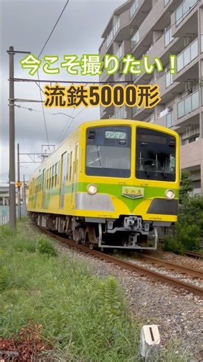 今こそ撮りたい！流鉄5000形