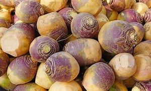 How Long Does Swede Last in the Fridge?