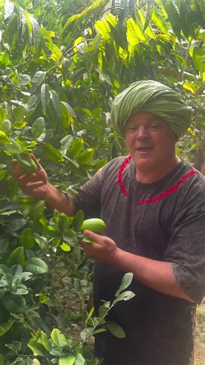 Start Your Organic Farming Journey with Permaculture Tips