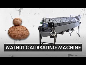 Walnut sizing equipment. How are walnuts sorted in production?