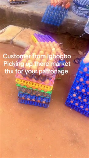 #alayofarm #poultryfarming #fresheggs #ikorodufarming #goviral