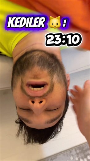 Dogs and cats while sleeping