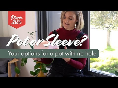 Pot with no drainage hole? Here's your options !