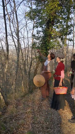 136 reactions | Foraging on the Reschio Estate will open your mind to so much more; it is a veritable outdoor pharmacy, ingredient store or even ink making. For those staying at the Hotel Castello di Reschio join our resident expert and try your hand at new skills Discover more - https://www.reschio.com #hotelcastellodireschio | Reschio | Facebook