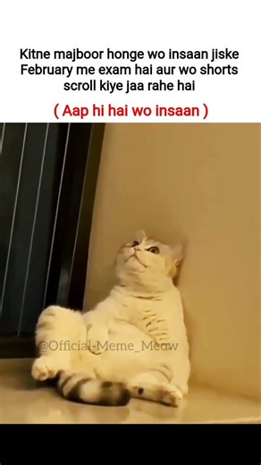 Kitni majboor hu Mai#tweetreels #relatable #cat #catmemes #shorts #shortsfeed #viral #fypシ゚viral#fyp