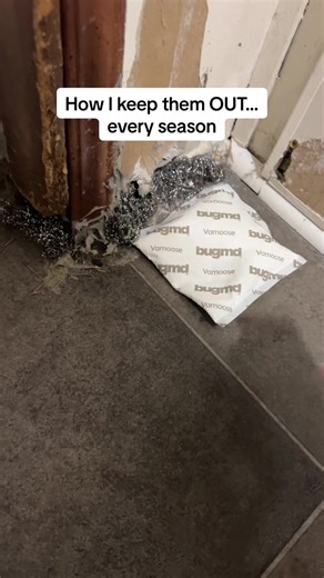 Traps didn’t work. Sealing cracks didn’t work. But THIS finally did the job #naturalremedies #naturalreptilia #rodentcontrol #pestcontrol #bugmd