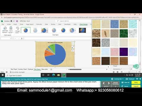 Excel Chapter 3 Simulation Training | Excel Chapter 3 Simulation Training
