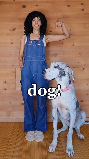 Jennelle Eliana on TikTok