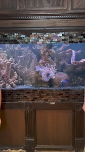 116K views · 1.2K reactions | Woop woop  | Mike Fit | Facebook