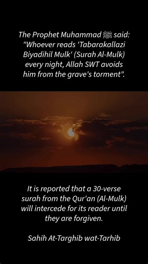 The Importance of Surah Al-Mulk in Daily Life