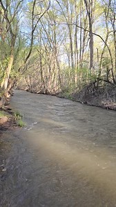 As tempratures continue to warm, Hobble Creek has risen just over 12 to 18 inches and the flow has increased. This next week we will continue to see a warming trend with cooler nights. The good news is, Hobble Creek has reached its peak runoff. Although the creek continues to flow at a higher level, the creek will not see the same volumes as last year. Springville City would like to thank our citizens who have done a fantastic job at keeping Hobble Creek clean of debris. We would also like to re
