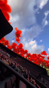 13K views · 7.6K reactions | Can’t get over how beautiful The Wizard of Oz is at @spherevegas  | Visit Las Vegas | Facebook