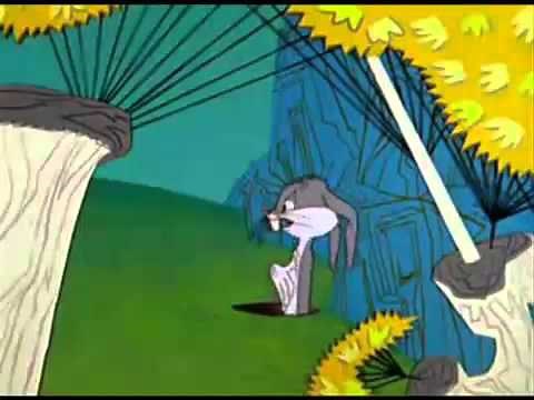 Elmer Fudd - Kill The Rabbit