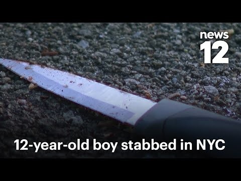 Two children in police custody after 12-year-old boy stabbed at NYC playground | News 12