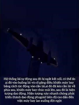 Malaysian Airline System Flight 653(Chuyến bay số 653 của hãng hàng không Malaysia Airlines System)