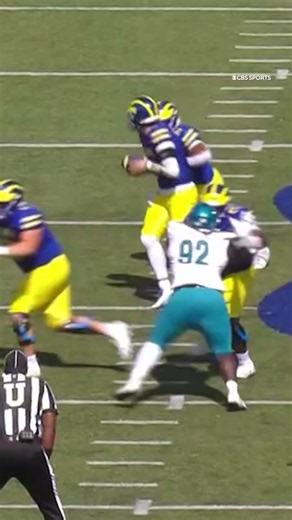 The flea flicker worked to perfection. 😤 #football #collegefootball#delaware
